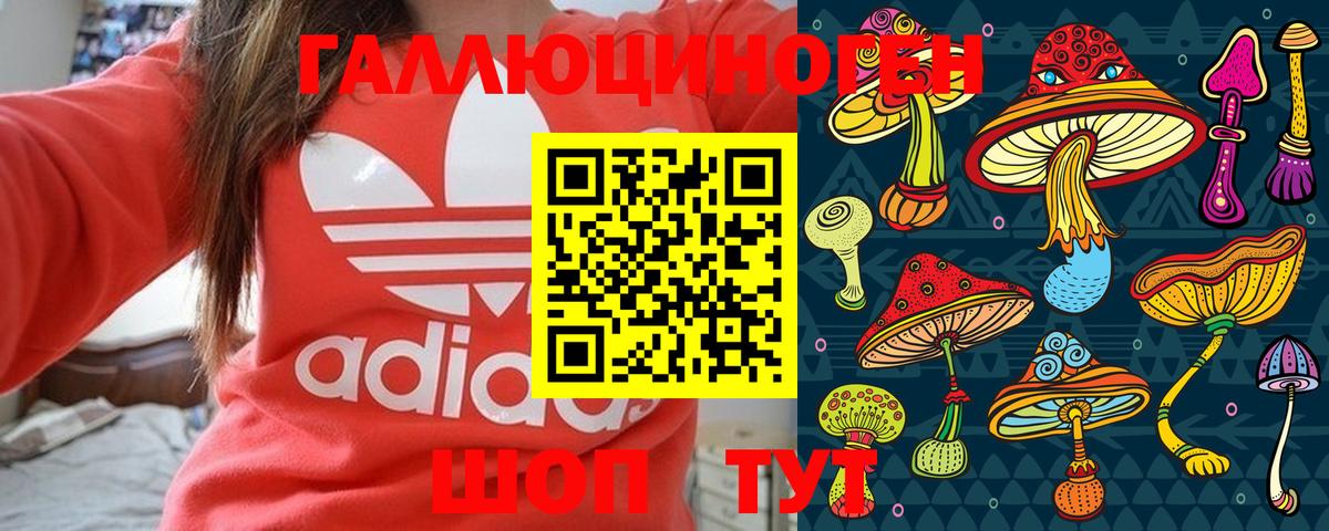 Псилоцибиновые грибы мицелий Полевской