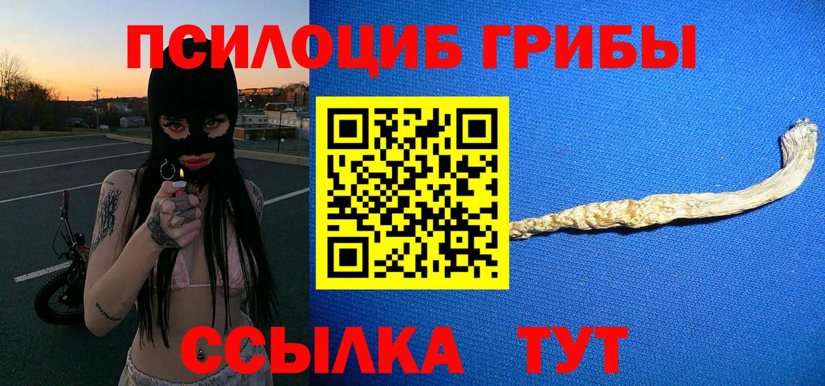 Псилоцибиновые грибы прущие грибы  Псилоцибиновые грибы Psilocybe  Полевской  Вход с VPN 