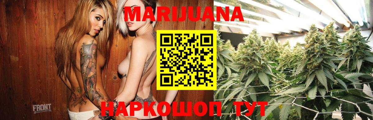 Конопля OG Kush Полевской